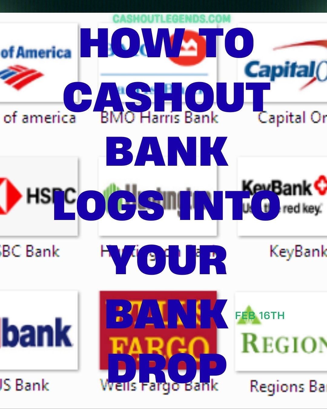 cashout bank logs